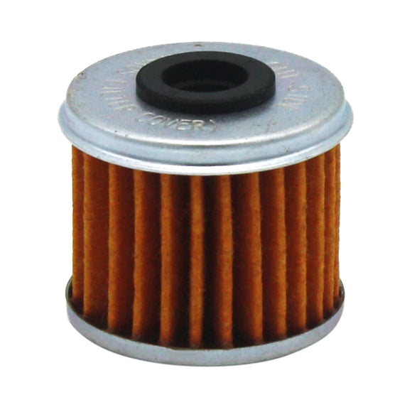 Oil Filter with O ring - 2521231