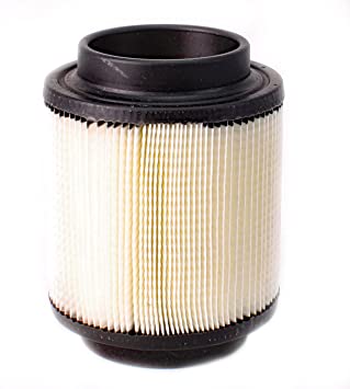 Air Box Filter Assembly - 1262218