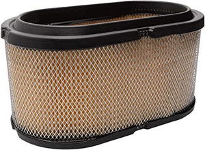 Air Filter - 1253118