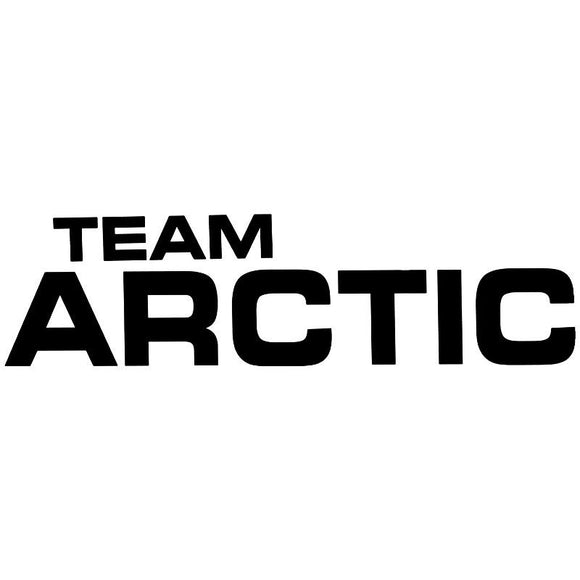 Team Arctic Decal - Black - AC20A-A108