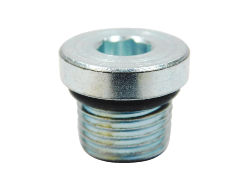 Front Gearcase Fill Plug - 2203739