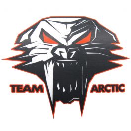 Arctic Cat Decals - ORANGE CATHEAD - 5239-725 / 5239-724